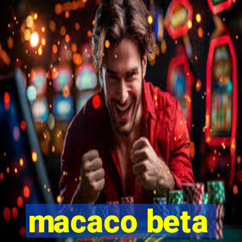 macaco beta