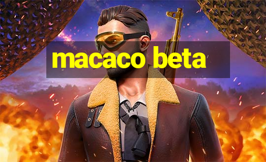 macaco beta