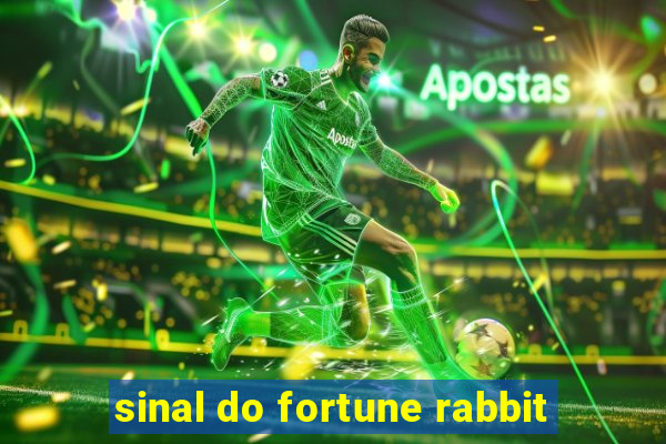 sinal do fortune rabbit