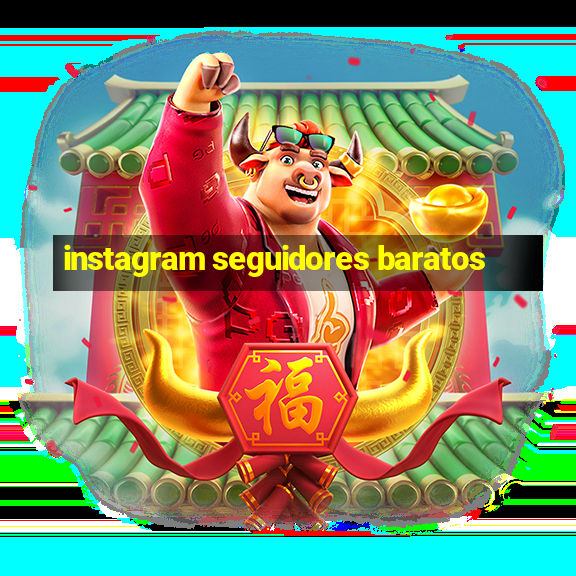 instagram seguidores baratos