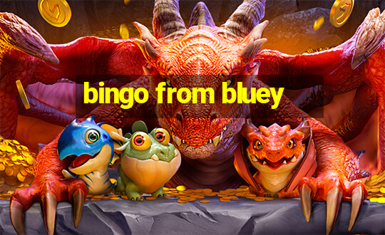 bingo from bluey