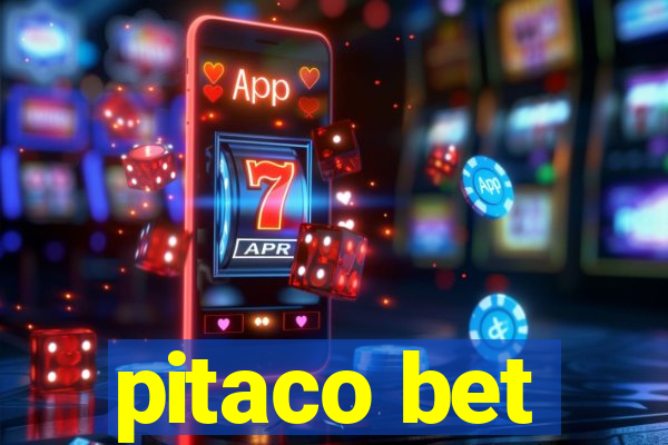 pitaco bet