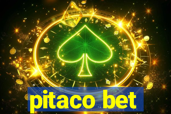 pitaco bet