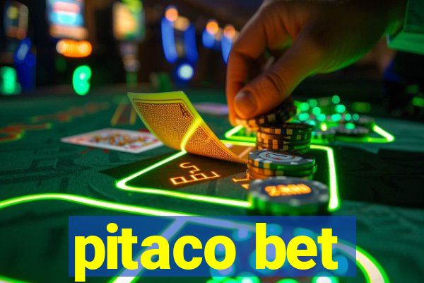 pitaco bet