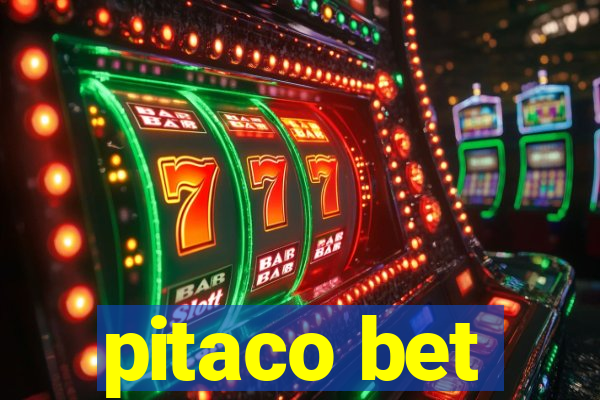 pitaco bet