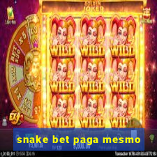 snake bet paga mesmo