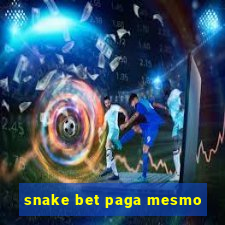 snake bet paga mesmo