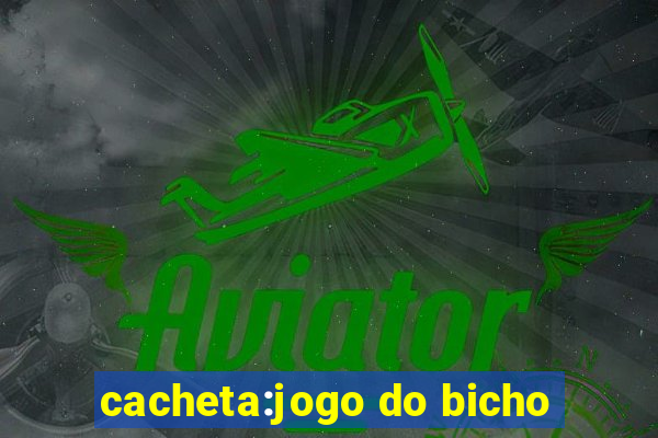 cacheta:jogo do bicho