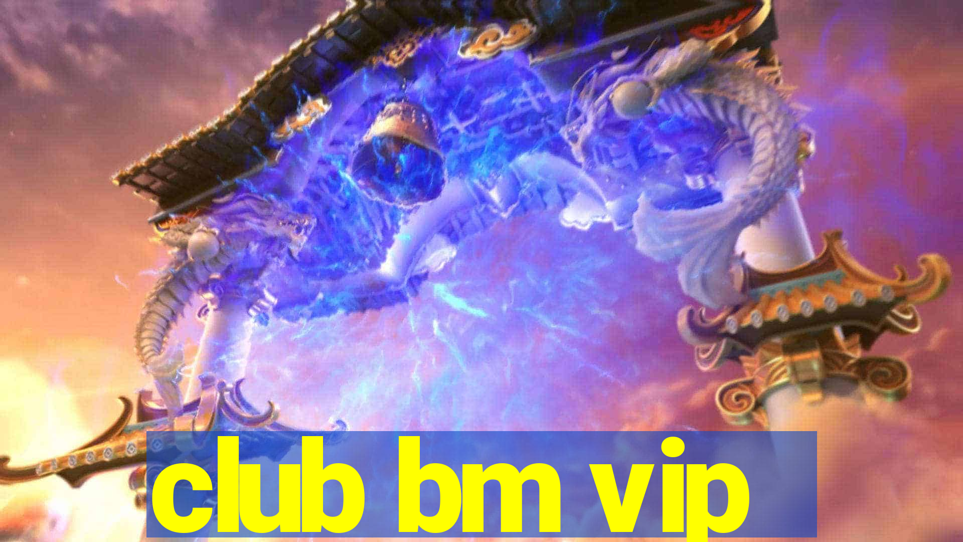 club bm vip