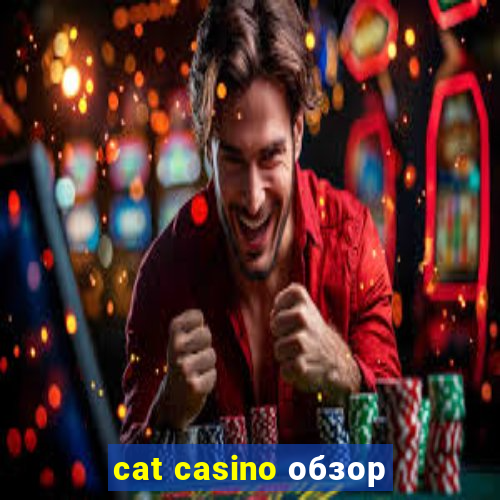 cat casino обзор