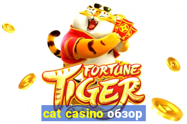 cat casino обзор