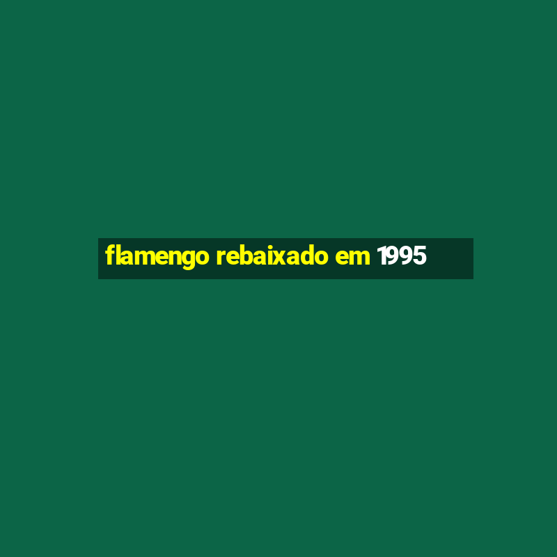 flamengo rebaixado em 1995