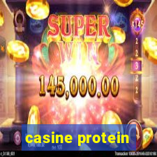 casine protein