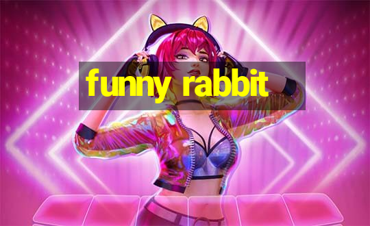 funny rabbit