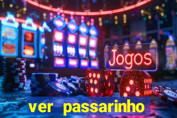 ver passarinho morto significado