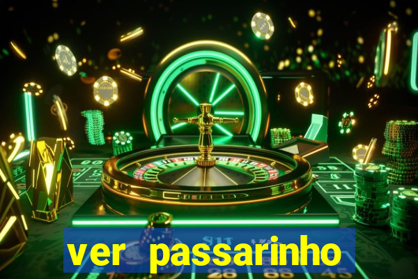 ver passarinho morto significado