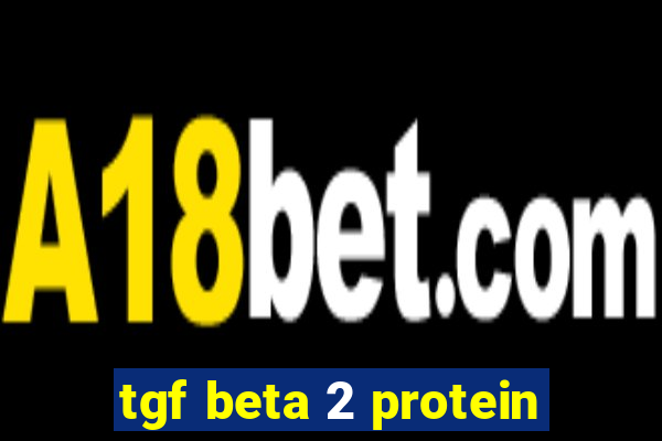 tgf beta 2 protein