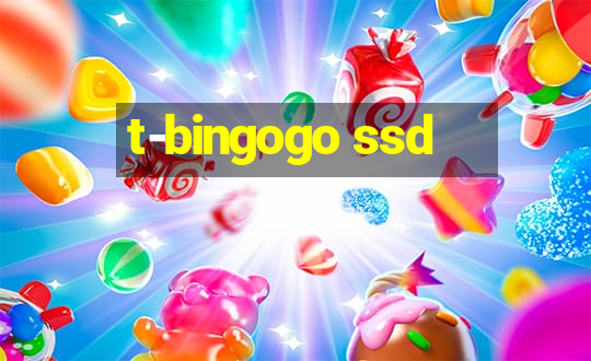 t-bingogo ssd