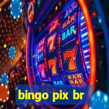 bingo pix br