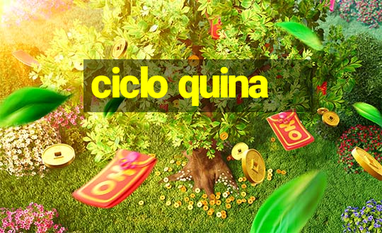 ciclo quina