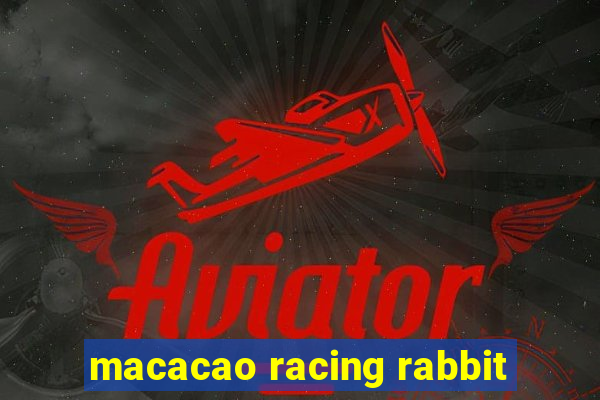 macacao racing rabbit