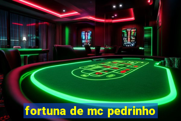 fortuna de mc pedrinho