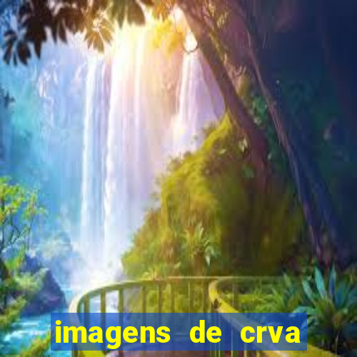 imagens de crva zona sul