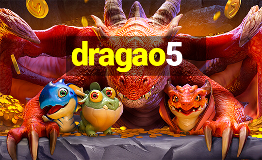 dragao5