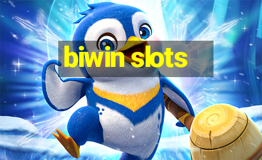 biwin slots