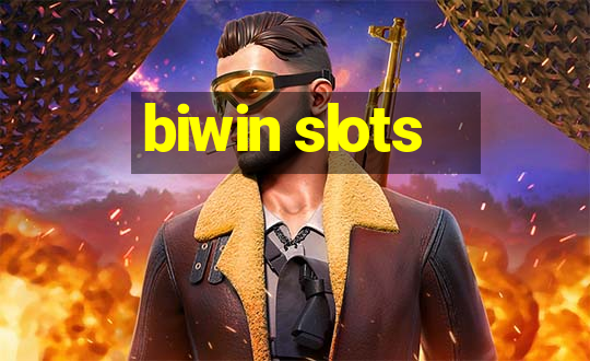 biwin slots