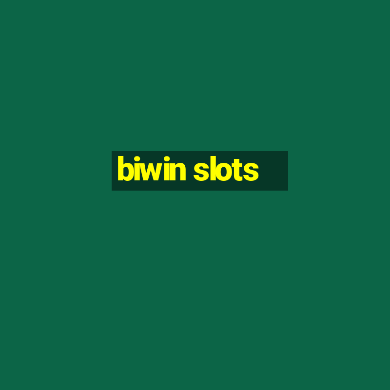 biwin slots