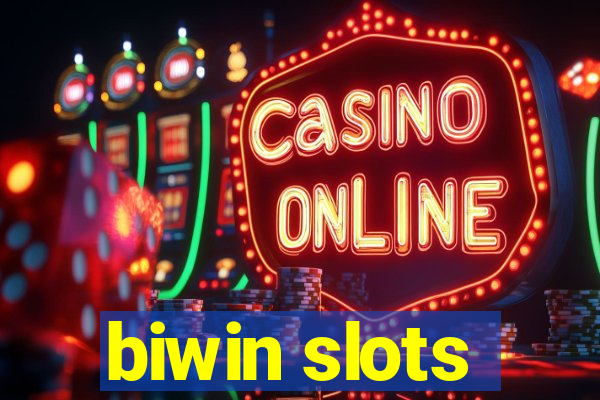 biwin slots