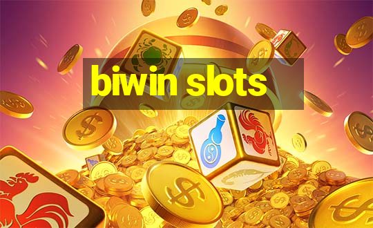 biwin slots