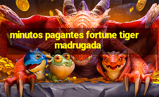 minutos pagantes fortune tiger madrugada