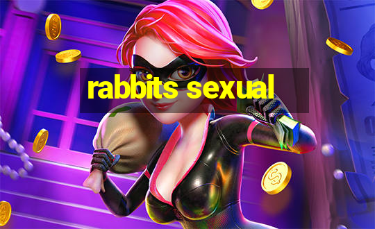 rabbits sexual