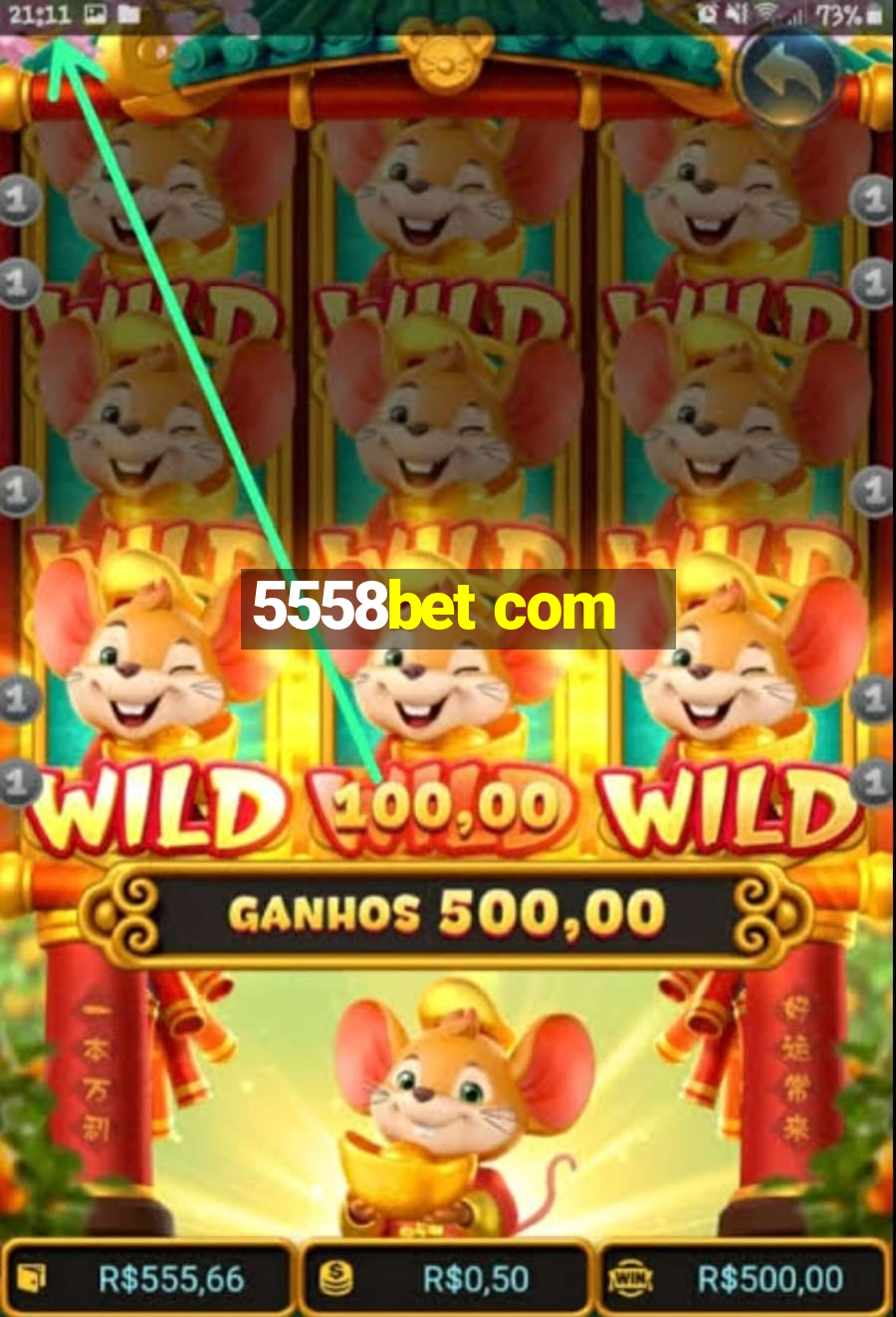 5558bet com