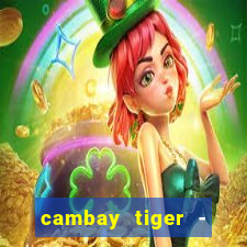 cambay tiger - seafood & meat