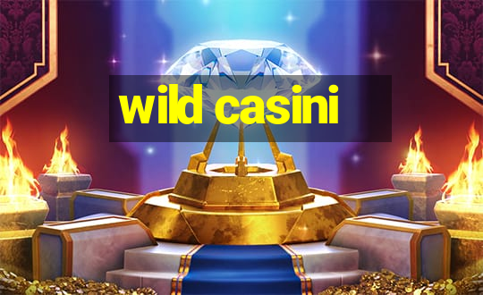 wild casini