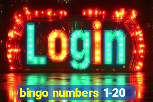 bingo numbers 1-20