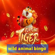 wild animal bingo