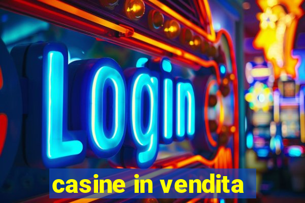 casine in vendita