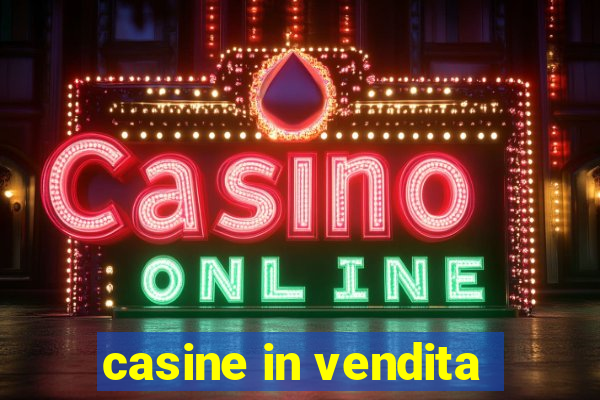 casine in vendita