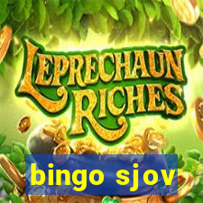 bingo sjov