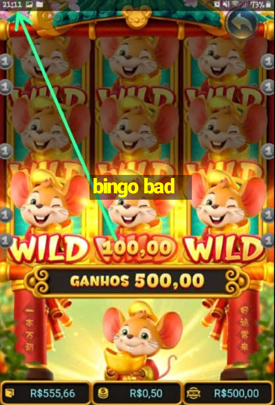 bingo bad