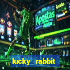 lucky rabbit hattiesburg