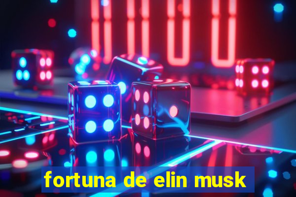 fortuna de elin musk