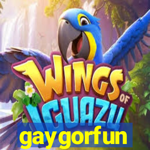 gaygorfun