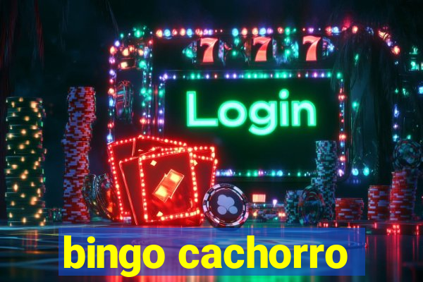 bingo cachorro