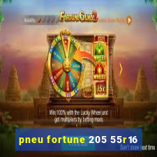 pneu fortune 205 55r16