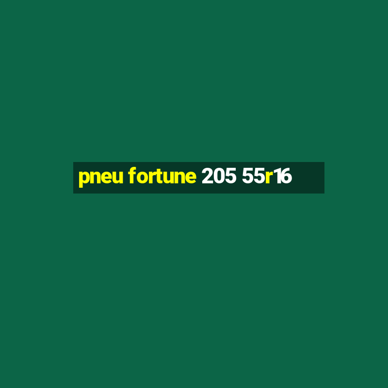 pneu fortune 205 55r16